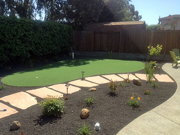 Artificial Turf Fussels Corner, Florida Outdoor Putting Green, Backyard Ideas