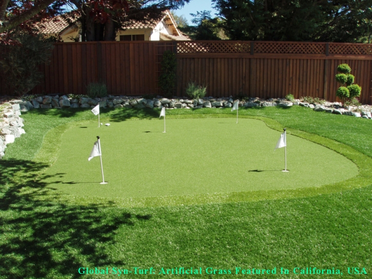 Artificial Turf Installation Avon Park, Florida Backyard Playground, Backyard