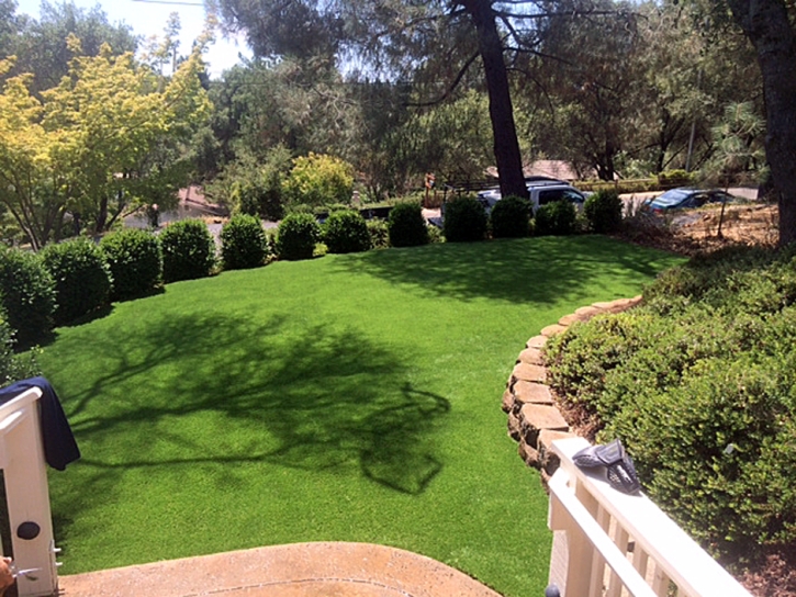 Artificial Turf Installation Jan-Phyl Village, Florida Landscaping Business, Backyard Designs