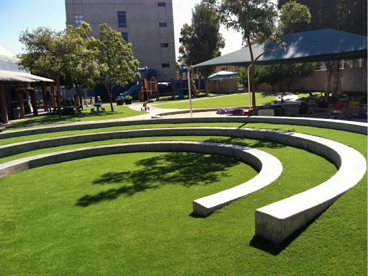 Artificial Turf Medulla, Florida Rooftop, Commercial Landscape