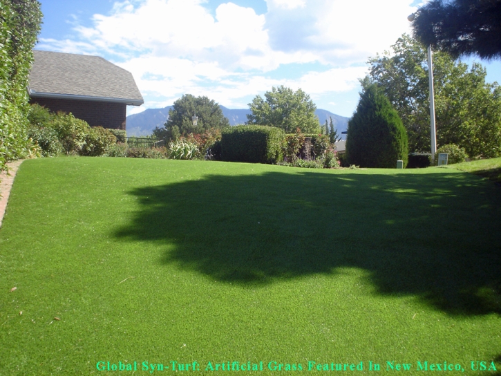 Artificial Turf North Port, Florida Pet Paradise, Beautiful Backyards