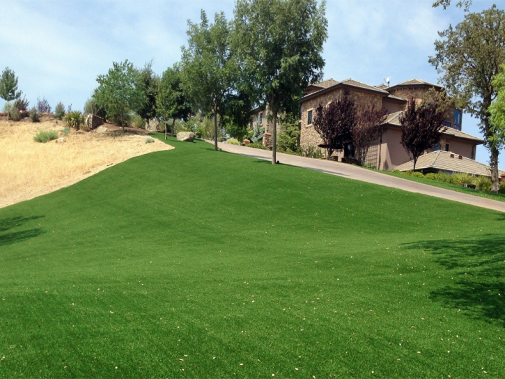 Artificial Turf Port Saint Lucie, Florida Backyard Deck Ideas, Front Yard Landscape Ideas