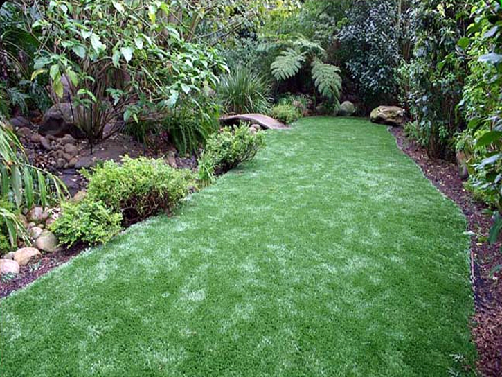 Artificial Turf Richmond Heights, Florida Landscape Photos, Backyard