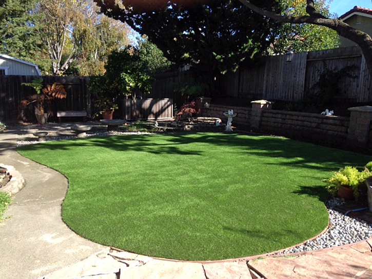 Artificial Turf The Villages, Florida Rooftop, Backyard Landscaping