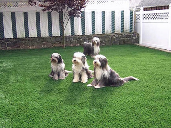 Artificial Turf Warrington, Florida Pet Grass, Backyard Landscaping