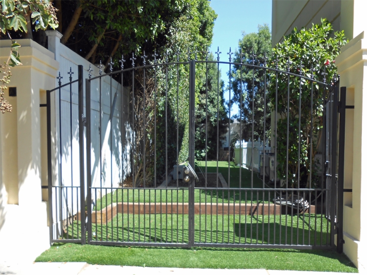 Artificial Turf West Park, Florida Landscape Design, Front Yard Landscaping