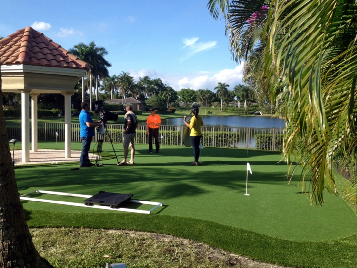 Artificial Turf Wimauma, Florida Outdoor Putting Green, Backyard Makeover