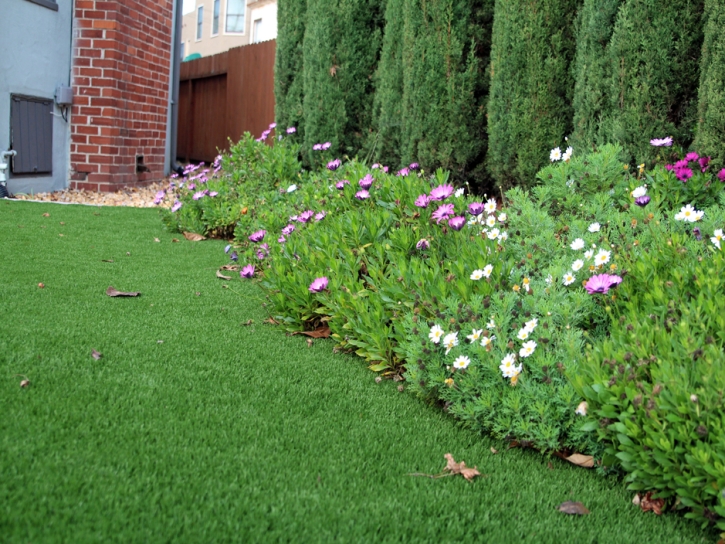 Best Artificial Grass Bithlo, Florida Backyard Playground, Small Front Yard Landscaping