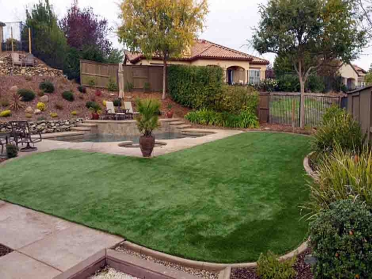 Best Artificial Grass Cocoa West, Florida Design Ideas, Backyard Designs