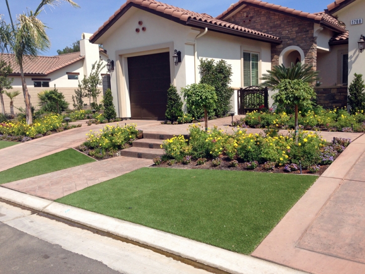 Best Artificial Grass Crestview, Florida Lawn And Garden, Front Yard Landscape Ideas