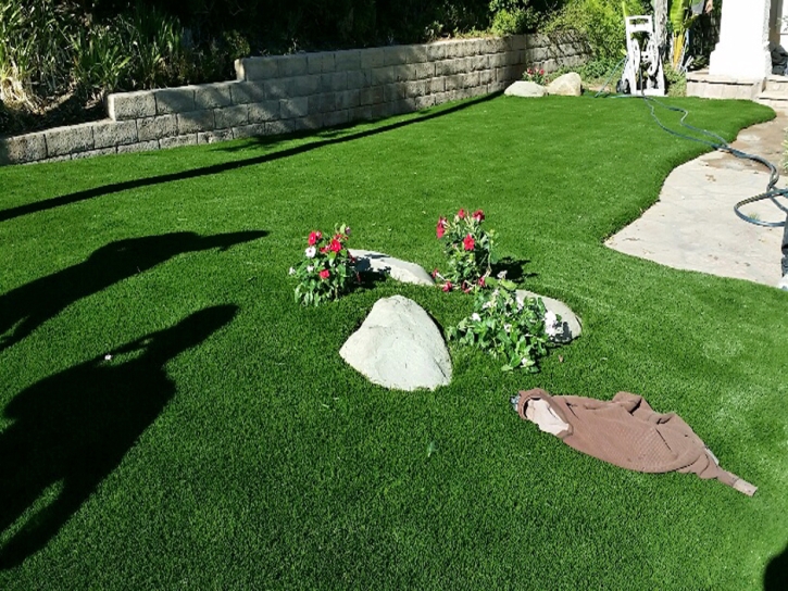 Best Artificial Grass Homestead, Florida Lawn And Landscape, Front Yard Landscaping Ideas