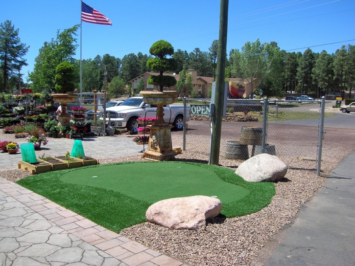 Best Artificial Grass Longwood, Florida Roof Top, Commercial Landscape