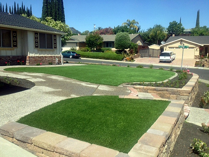 Best Artificial Grass Mango, Florida Home And Garden