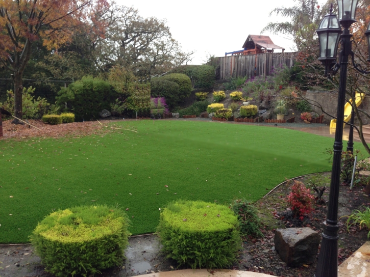 Best Artificial Grass South Bradenton, Florida Backyard Playground, Backyard Landscaping Ideas