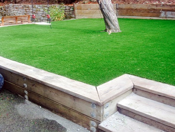 Best Artificial Grass South Miami, Florida Garden Ideas, Backyard Design