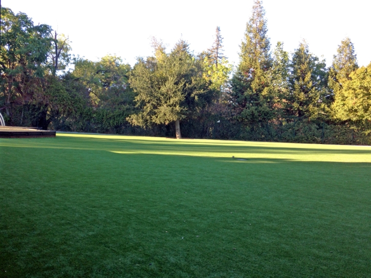 Fake Grass Carpet Clermont, Florida City Landscape, Recreational Areas