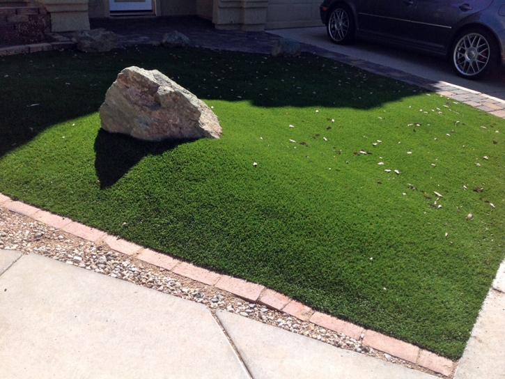 Fake Grass Carpet Myrtle Grove, Florida Landscape Ideas