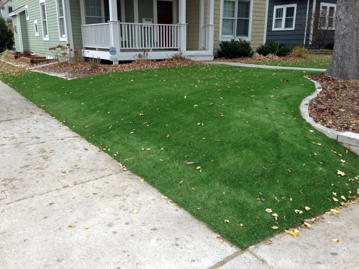 Fake Grass Carpet North Sarasota, Florida Landscape Rock, Small Front Yard Landscaping