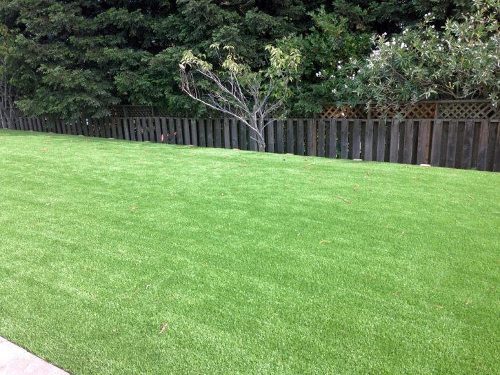 Fake Grass Carpet Pace, Florida Lawns, Backyard