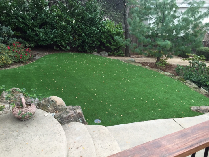 Fake Grass Carpet Pompano Beach Highlands, Florida Lawns, Backyard