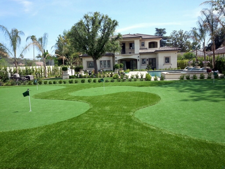 Fake Grass Citrus Ridge, Florida Rooftop, Front Yard Landscaping Ideas