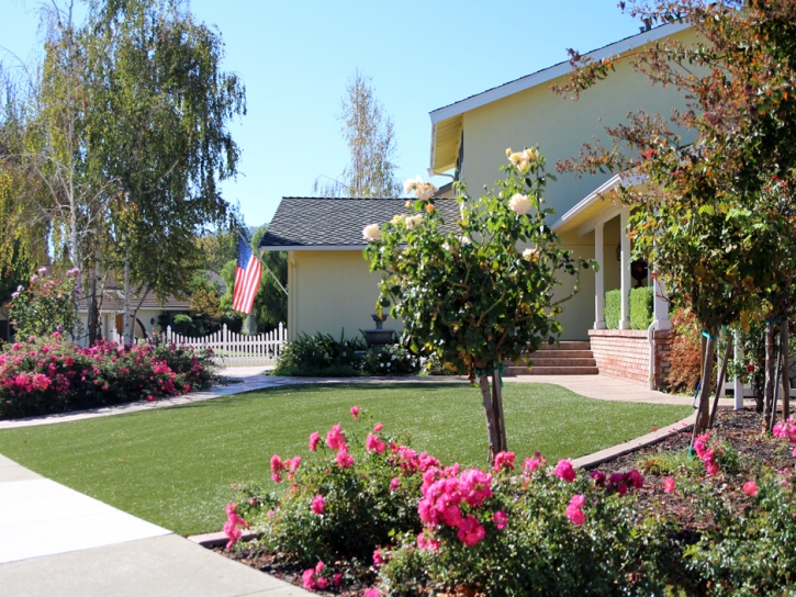 Fake Grass Jacksonville Beach, Florida City Landscape, Front Yard Landscaping Ideas