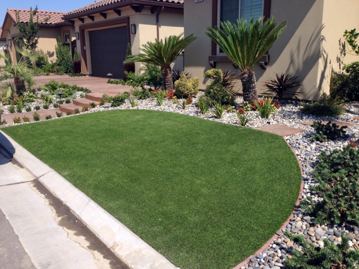 Fake Grass New Port Richey East, Florida Garden Ideas, Front Yard Landscaping Ideas