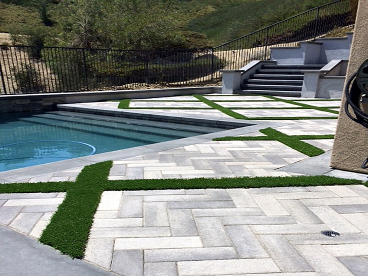 Fake Grass New Port Richey, Florida Home And Garden, Swimming Pools