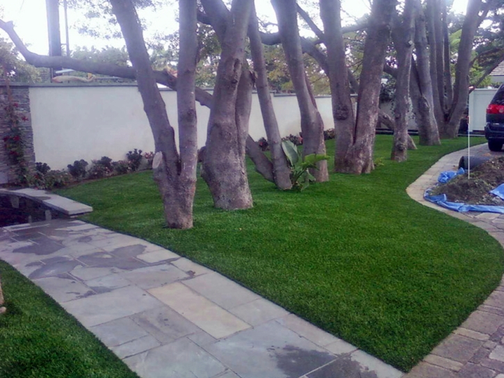 Fake Grass West Perrine, Florida Landscape Design, Front Yard Ideas