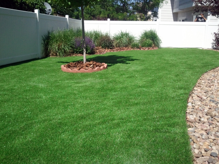 Fake Grass West Samoset, Florida Lawns, Backyard Landscaping Ideas