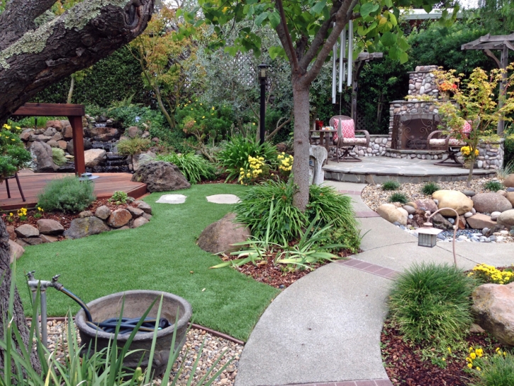 Fake Lawn Carrollwood, Florida Landscape Photos, Backyard Ideas