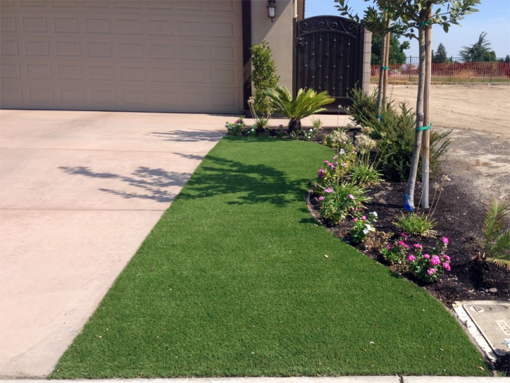 Fake Lawn Deerfield Beach, Florida Gardeners, Front Yard Design