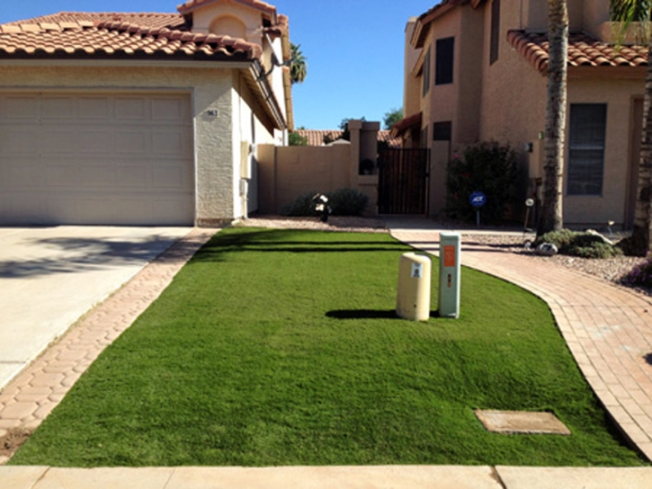 Fake Lawn Longwood, Florida Landscape Ideas, Front Yard Landscape Ideas