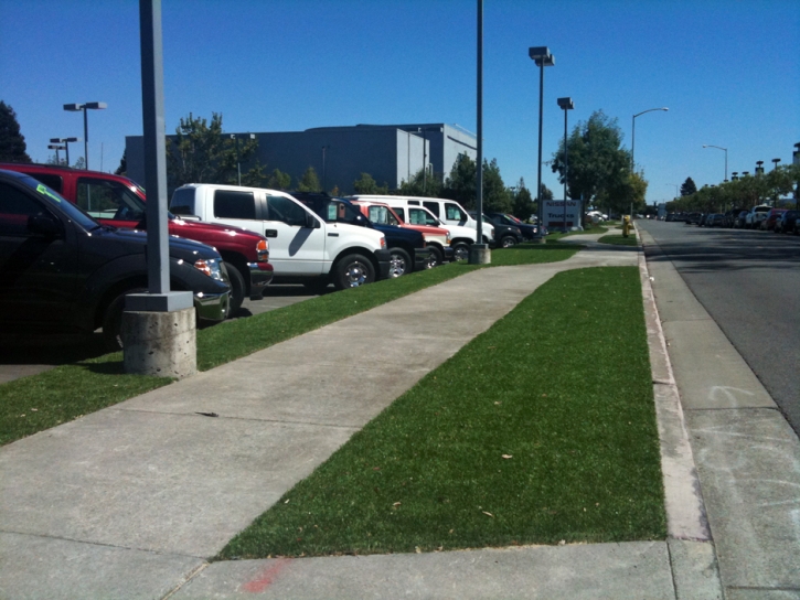 Fake Lawn Sanibel, Florida Landscaping, Commercial Landscape