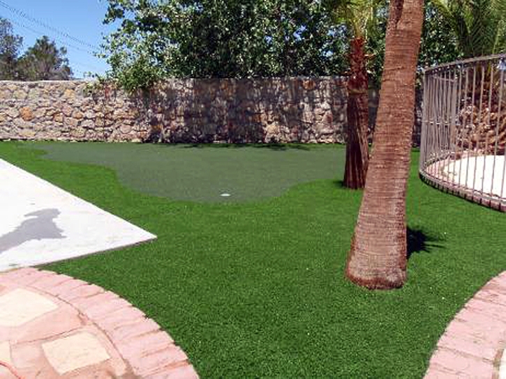 Fake Turf Kendall, Florida Putting Green, Backyard Garden Ideas