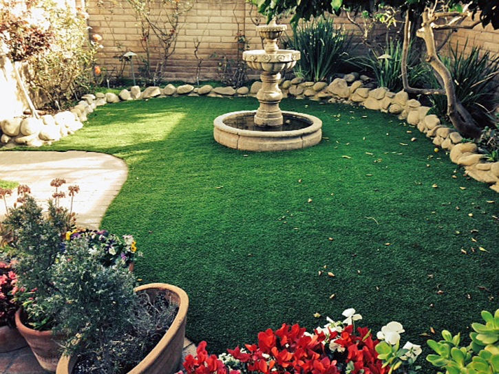 Fake Turf Siesta Key, Florida Backyard Deck Ideas