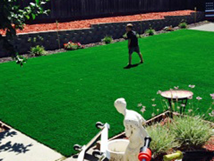 Fake Turf Tamiami, Florida Landscape Ideas, Backyard Designs