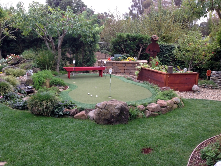 Faux Grass Bradenton, Florida Roof Top, Beautiful Backyards