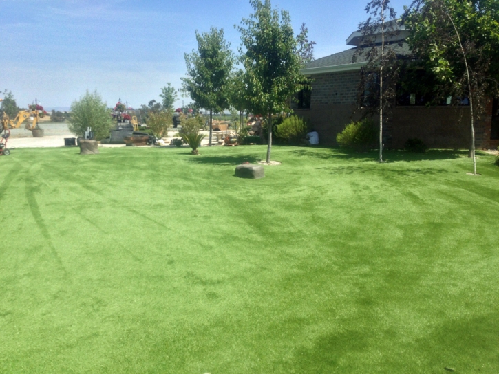 Faux Grass Citrus Ridge, Florida Artificial Turf For Dogs, Parks