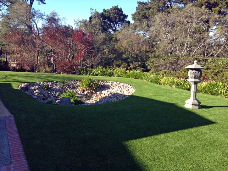 Faux Grass Cypress Lake, Florida Design Ideas, Backyard Makeover