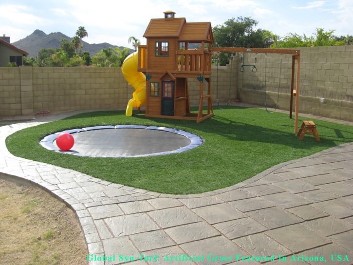 Faux Grass Fort Meade, Florida Landscaping, Backyard Designs