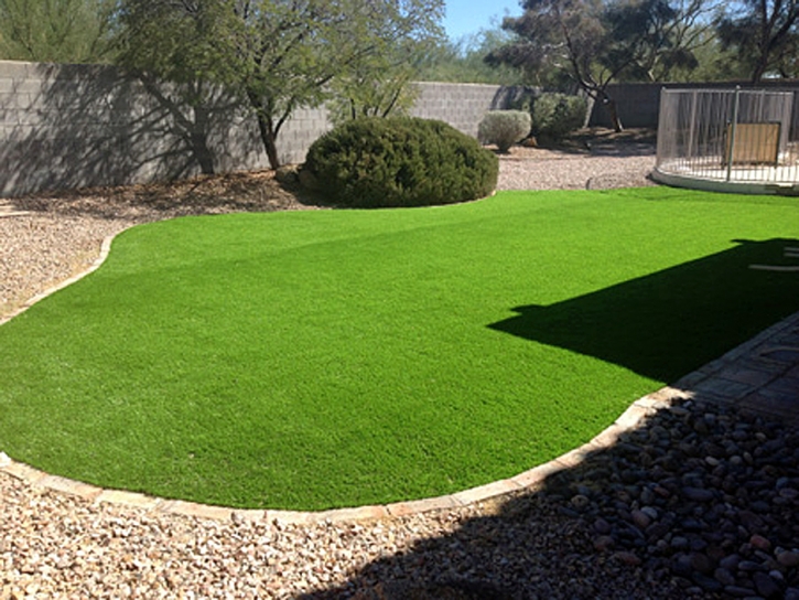 Faux Grass Longboat Key, Florida Landscape Design, Backyard