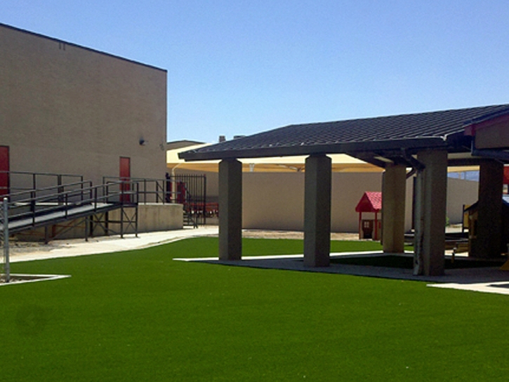 Faux Grass Sky Lake, Florida Lawns, Commercial Landscape