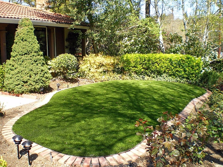 Faux Grass Stuart, Florida Lawn And Garden, Small Backyard Ideas