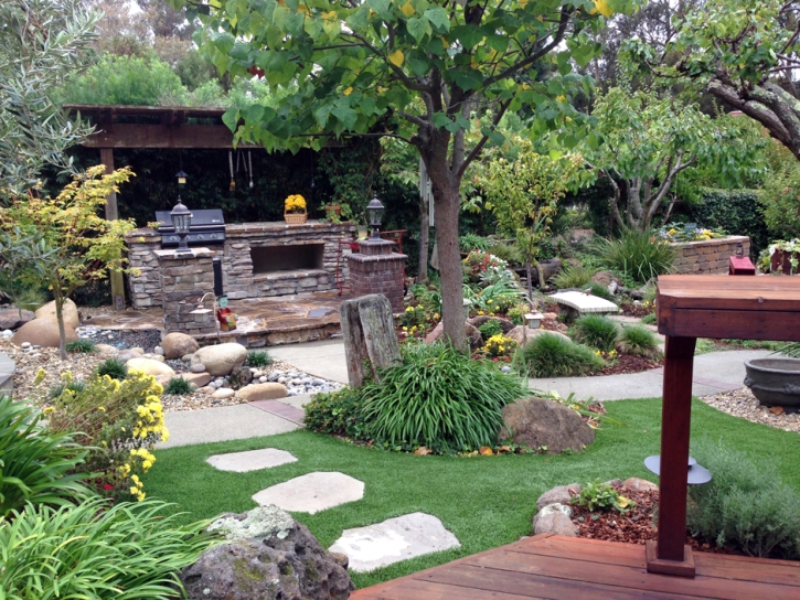 Grass Carpet Bloomingdale, Florida Home And Garden, Backyard Landscape Ideas