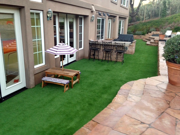 Grass Carpet Parkland, Florida Home And Garden, Backyard Landscaping