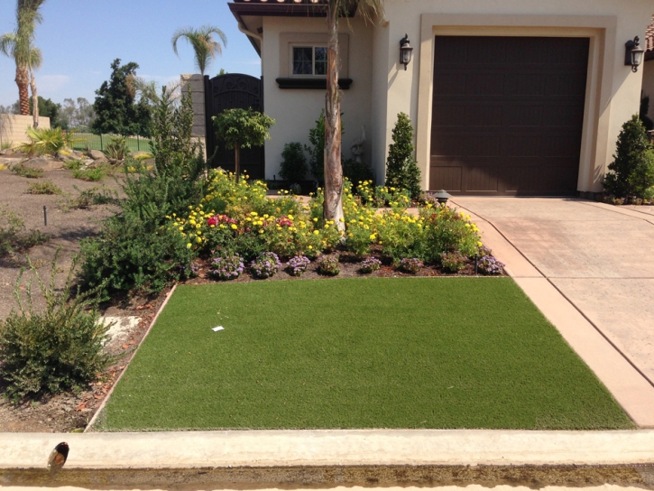 Grass Carpet Plantation, Florida Landscape Design, Front Yard Landscaping