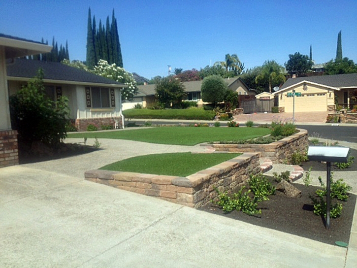 Grass Carpet Willow Oak, Florida Landscape Ideas, Front Yard