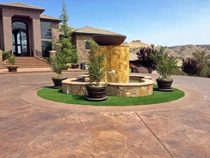 Grass Installation Brent, Florida Rooftop, Small Front Yard Landscaping