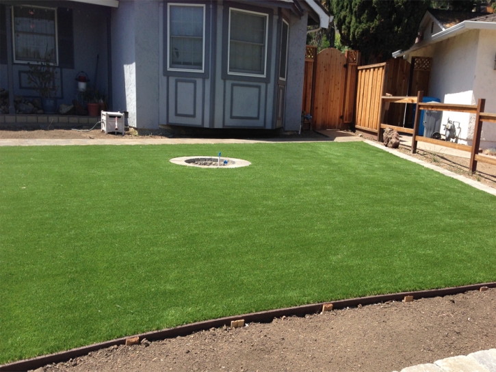 Grass Installation Deerfield Beach, Florida Lawns, Backyard Garden Ideas